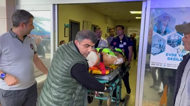 Ayı saldırısına uğrayan köy imamı yaralandı