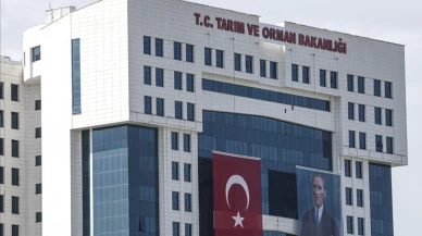 6 ton mandalina imha edildi! Tarım ve Orman Bakanlığı açıkladı