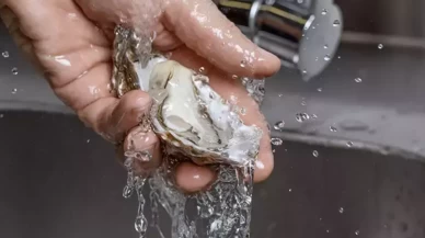 Uzmanlar uyarıyor: Adeta zehre dönüşüyor!