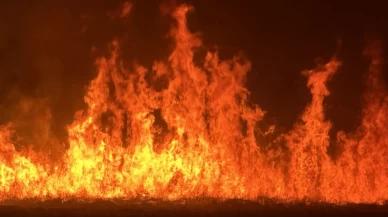 Kuş cenneti Nehil Sazlığı'nda yangın!