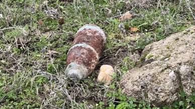 Mantar toplamaya gittiler, top mermisi buldular