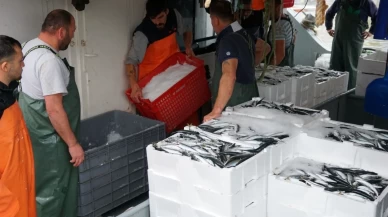 Tekirdağ’da balıkçıların ağı doldu! Lodos sonrası limana dönen balıkçılar yüzleri güldürdü