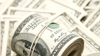 TCMB güncel döviz kurlarını açıkladı!