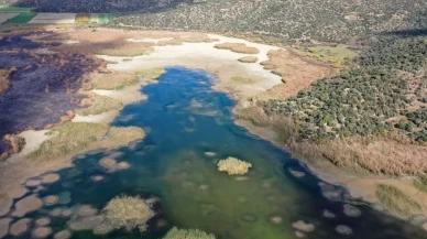 Ege’nin kartpostallık gölü kuruyor! Kuşlar ve canlılar ölümle mücadele ediyor