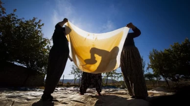 Mardin’de bağ bozumu geleneği sürüyor