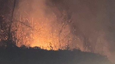 Trabzon'da örtü yangını