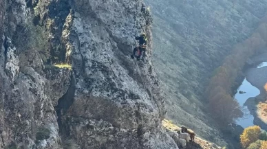 Diyarbakır'da kayalıklarda mahsur kalan 25 keçi kurtarıldı