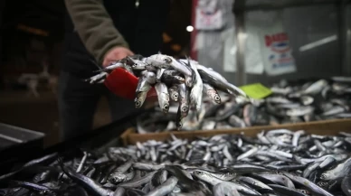 Rize’de hamsi bolluğu: Kilogramı 50 liradan satışta