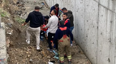 Hatay’da yolun karşısına geçerken araç çarptı: Zehra Fındık hayatını kaybetti