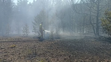 Kahramanmaraş'ta orman yangını!