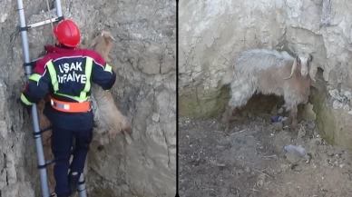 Keçi Kuyuda Mahsur Kaldı!