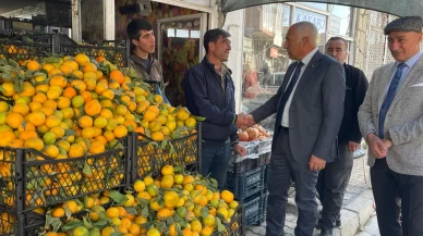 MHP Van teşkilatından yoğun mesai! Başkan Güngöralp sorunları yerinde dinledi