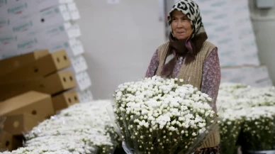 Çiçek sektörü ihracatta rekora koşuyor! 10 ayda 137 milyon dolarlık satış