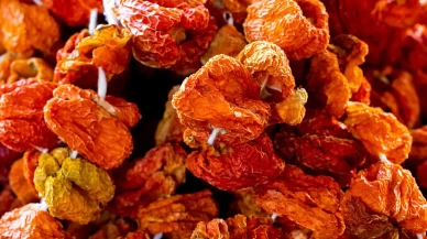 Dolmalık Biber Nasıl Kurutulur?