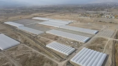 Doğu Anadolu'nun en büyük toplu sera alanı kuruluyor