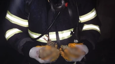 Balıkesir’de tavuk çiftliğinde facia!