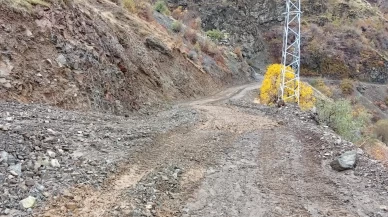 Siirt'te heyelandan kapanan köy yolu ulaşıma açıldı