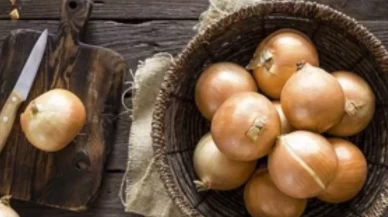 Evdeki en büyük şifayı hep göz ardı etmişiz