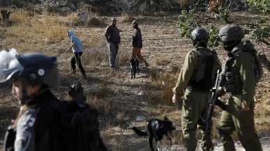 İsrail zeytin hasadını engellemek için beldeyi kapattı