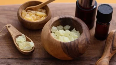 Sandaloz sakızı bağışıklığı nasıl güçlendiriyor?