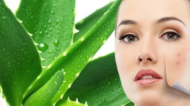 Bu 3 aloe vera maskesi cildi ışıl ışıl yapıyor