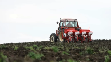 Tarım ÜFE Ekimde yüzde 45,4 arttı: Meyve ve sebzede rekor artış