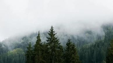 Bugün hava nasıl olacak? İşte il il hava tahmini