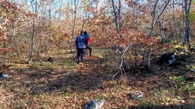 Mantar toplamaya diye evde çıkmıştı!