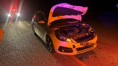 Çorum’da yola çıkan danaya çarpan otomobilde iki kişi yaralandı