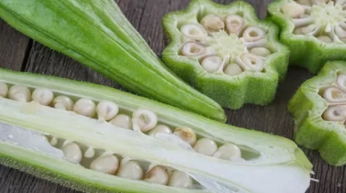 Bamya tohumu vücudu baştan ayağa yeniliyor!