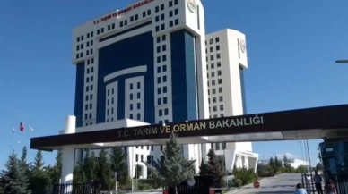 Tarım ve Orman Bakanlığı 496 sözleşmeli personel alacak! Başvurular 20 Kasım’da başlıyor