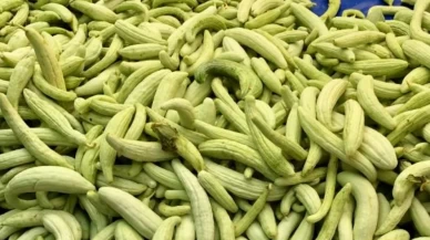 Faydasını duyan pazara koşuyor