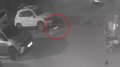 Sokak köpekleri arabasını parçaladı