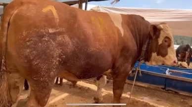 Menderes’te feci olay