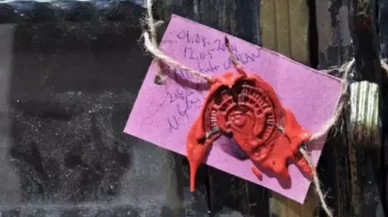 Kilis'te mide bulandıran olay!