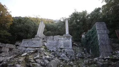 Termessos'taki iki anıt mezar ayağa kaldırılıyor