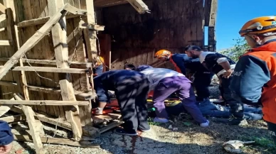 Rize’de arı kovanı faciası: 2 ölü, 1 yaralı