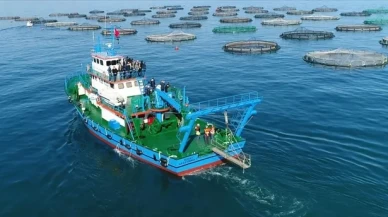 Doğu Karadeniz'den 29 ülkeye su ürünü ihraç edildi