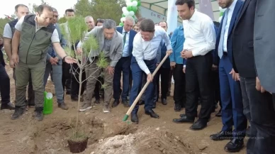 90 bin fidan toprakla buluşuyor