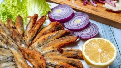 BİLİM İNSANLARINDAN ŞAŞIRTAN AÇIKLAMA