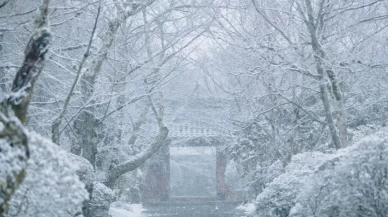 Türkiye’nin bazı yüksek kesimleri kar beyaza büründü