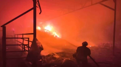 Hatay’da korkunç yangın: 100 büyükbaş tahliye edildi!