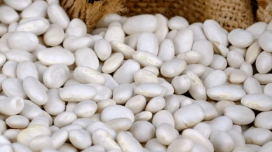 "Kuru fasulye krizi" iddialarına yalanlama