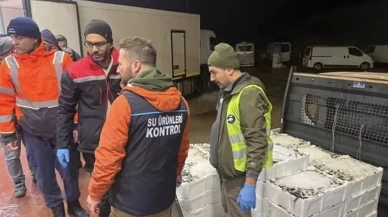 615 kilo istavrite el konuldu