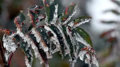 Ankara buz kesecek! Valilikten uyarı geldi