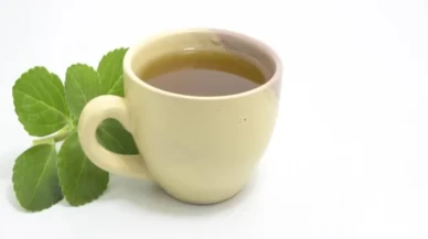 Boldo çayının etkisi şaşırtıyor