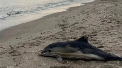 Yıldırım'da yürüyüş felaketi: Mahsur kalan gençten acı haber!
