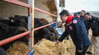 Kırsalda hayvan teslimatı başladı