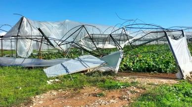 Antalya'da hortum nedeniyle seralar hasar gördü