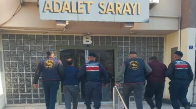 Aydın'da zeytin hırsızlığı! 400 kilo ürün fabrikaya satıldı